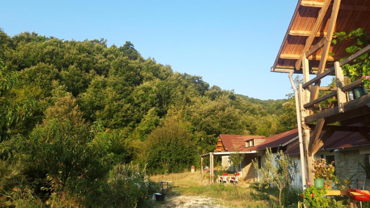 Hotel Ferma Grand Albanik Kelcyre Exterior foto